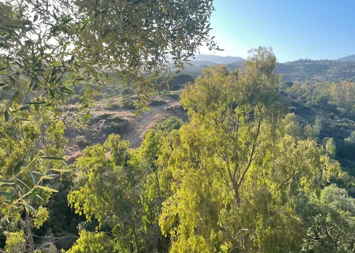 Apartamento En Elviria, Marbella