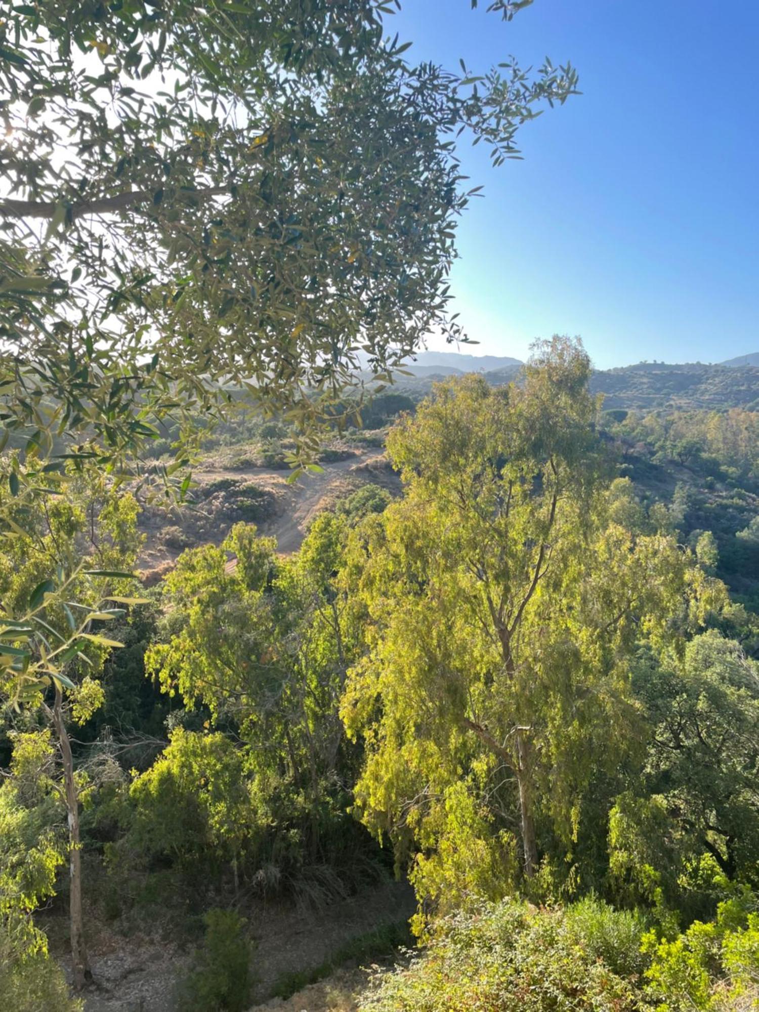 En Elviria, Marbella